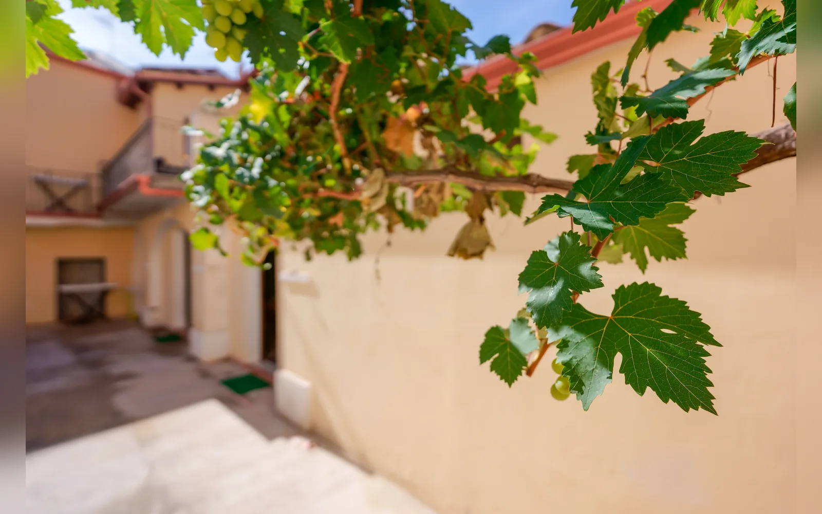 Esterni di Domos La Corte Ghibellina, Sud Sardegna (Sardegna) (foto 58)